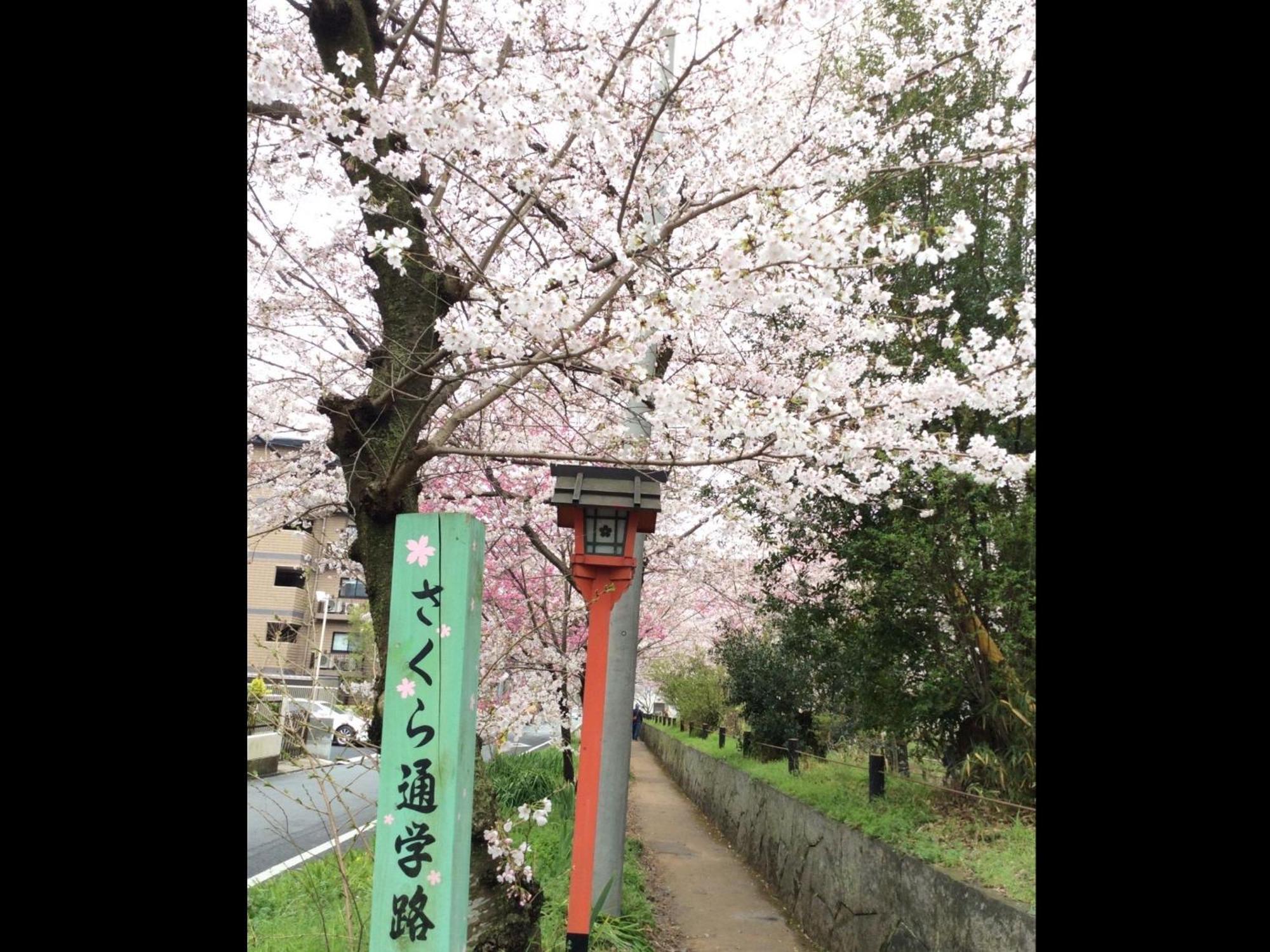 ゲストハウス 華 西陣 京都市 エクステリア 写真