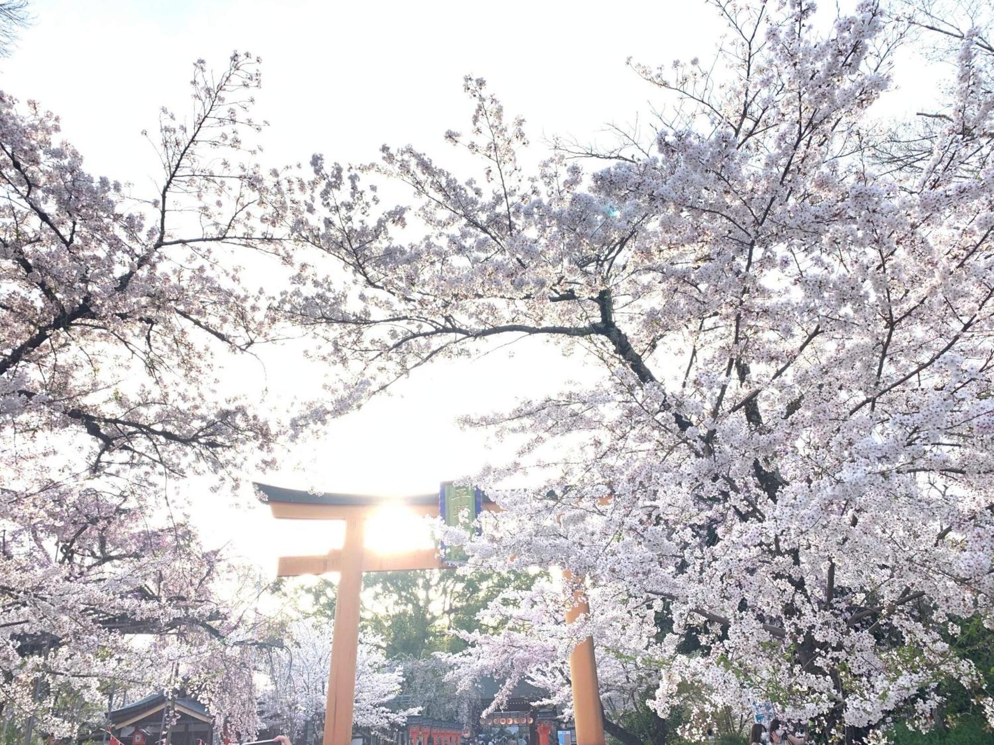 ゲストハウス 華 西陣 京都市 エクステリア 写真